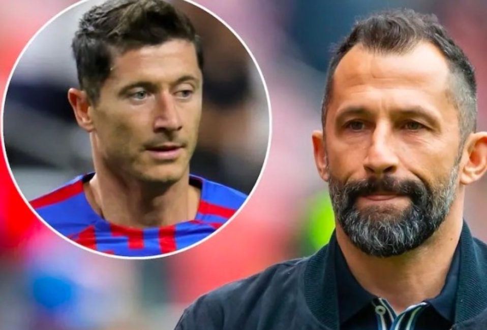 青年锦标赛 青年锦标赛